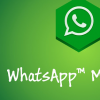 Whatsapp在除夕创下了630亿条已发送消息记录