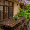 堪培拉及其周边地区出售紫藤覆盖的房屋