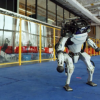 波士顿动力机器人以怪诞的舞蹈告别2020年