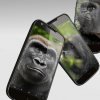 互联网信息：康宁第五代大猩猩玻璃:一块玻璃的不碎梦