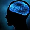 高度加工食品如何损害衰老大脑的记忆力
