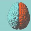 纽约大学朗格人工智能健康中心宣布居家大脑刺激计划