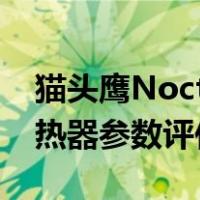 猫头鹰Noctua被动散热器怎么样(NH-P1散热器参数评估)