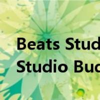 Beats Studio Buds降噪性能怎么样(Beats Studio Buds)