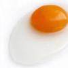 婴儿期吃鸡蛋的频率增加与以后鸡蛋过敏减少有关