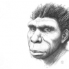 人类祖先的新物种被称为Homobodoensis