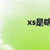 xs是啥意思 xxs有是什么意思