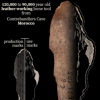 考古学家发现用于制革的古代骨制工具