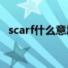 scarf什么意思中文名字及scarf什么意思中文