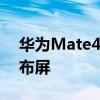 华为Mate40 Pro屏幕大曝光:双孔大曲率瀑布屏
