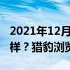 2021年12月31日科技新闻：猎豹浏览器怎么样？猎豹浏览器介绍