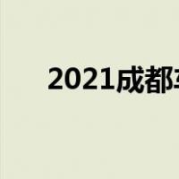 2021成都车展博物馆:瑞丰S3智驾首见