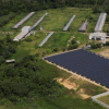 太阳能在亚马逊地区取得了进展