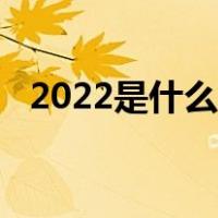 2022是什么生肖年（2022生肖年是什么）