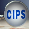 CIPS支付透镜服务上线