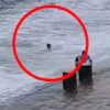 青岛2名游客被海浪卷入海中