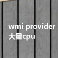 wmi provider host占用大量cpu