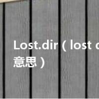 Lost.dir（lost dir是什么意思）