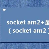 socket am2+最好的cpu（socket am2）