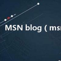 MSN blog（msn社区）