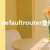 defaultrouter是什么意思